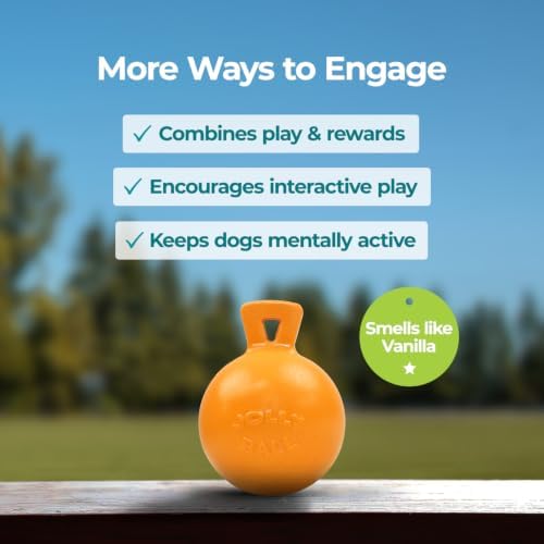 Jolly Pets Tug-n-Toss - Heavy Duty Chew Ball w/ Handle (Orange, 6")