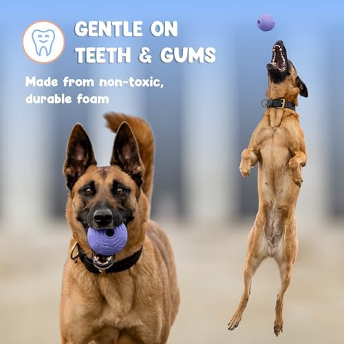 Foam Fetch Ball for Dogs – Durable EVA Foam Dog Ball, Interactive Chew Toy for Dogs, Lightweight Floating Ball for Water, Pool & Outdoor Fetch Games (Purple, Medium)