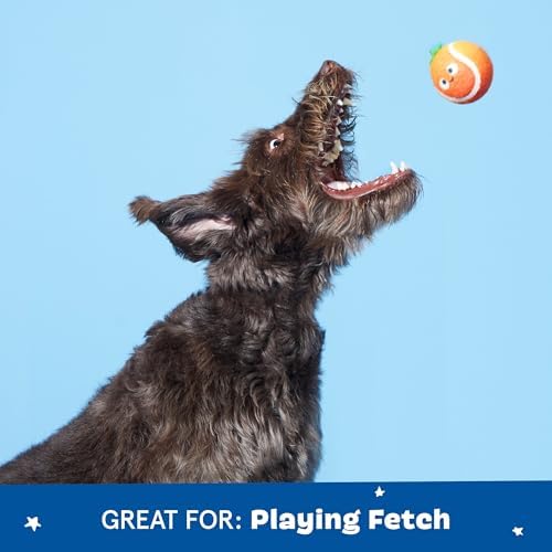 BarkBox Fresh Squeaked OJ Dog Toy - 2-in-1 - Toy for Medium Dogs