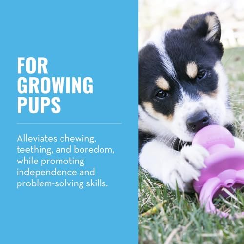KONG Puppy Binkie, Natural Rubber Teething Toy, for Small Puppies, Pink