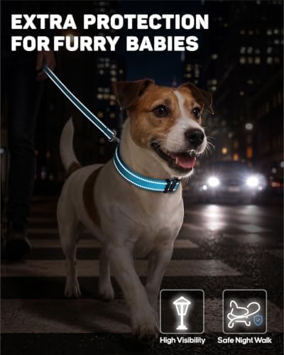 Padded Dog Collar with Waterproof Holder Compatible with Airtag