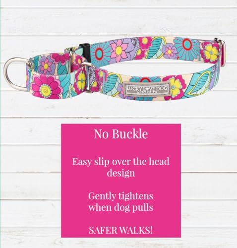 Lucky Love Dog Martingale Collar for Medium Dogs No Slip – Caroline, Medium