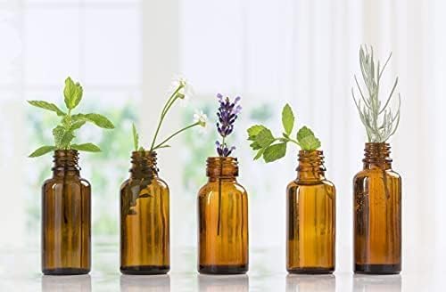 Honey - 100% Pure Aromatherapy Grade Essential Oil by Nature's Note Organics - 0.3 Fl Oz