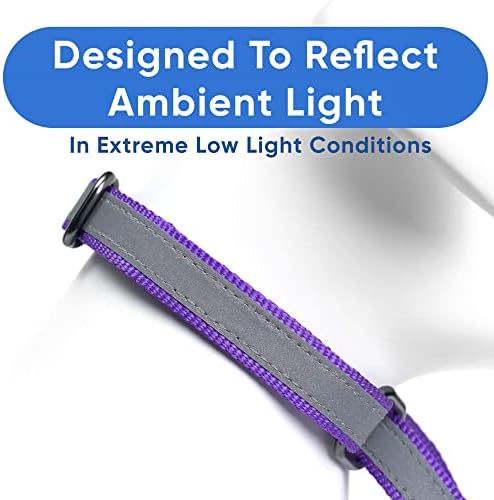 Pawtitas Customized Martingale Dog Collar Reflective Reflective Dog Collar Embroidered Personalized Name Phone Number Adjustable for Puppies Small Medium Large Size Dogs Large Purple