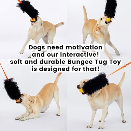 HOWGO Bungee Dog Toy, 100% Sheepskin Tug Rope (Purple, Short w/o Ball)
