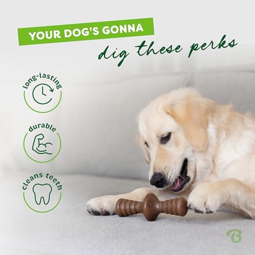 Benebone Zaggler Dog Chew Toy for Aggressive Chewers, Real Peanut, Medium