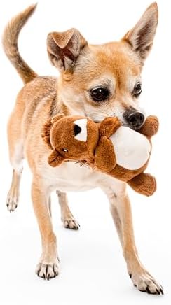 Playology Plush Squirrel Toy for Small Dogs - Small, Peanut Butter Scent