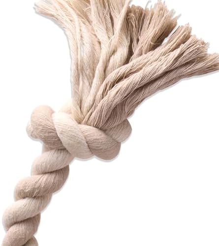 Pet Passion Natural Rubber Tire and Organic Cotton Rope Pull and Chew Dog Toy for All Pet Breeds, Almond Milk, Large