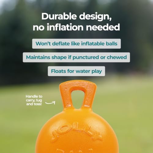 Jolly Pets Tug-n-Toss - Heavy Duty Chew Ball w/ Handle (Orange, 8")