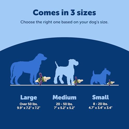 PetSafe Busy Buddy Jack - Treat Holding Dog Chew Toys - Helps Clean Teeth - Vanilla Scented Rubber for Strong Chewers - Treat Refills Included - Interactive Dog Toy Keeps Dogs Busy - Purple, Medium