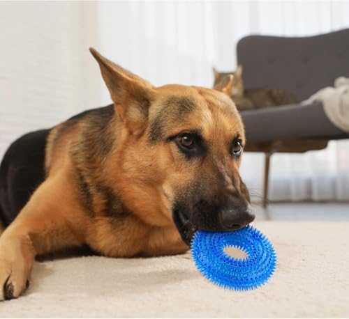 Andiker Squeaky Dog Toy, Safe TPR Chewable Dog Toys for Teeth Grinding&Cleaning Dog Fetch Toys for Enhancing Interactivity Outdoor Suitable for All Dog Sizes Puppy’s and Dogs (Large Blue)