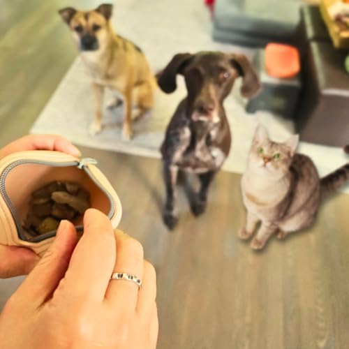 Pawtria BPA free Silicone Dog Treat Pouch, Matte Blue