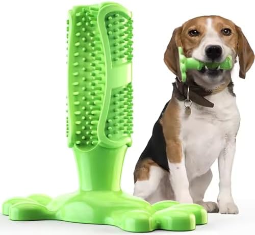 Chew Toy for Dog Toothbrush Stick Dog Toys for Aggressive Chewers Interactive Toys Treats Tough Toy to Keep Them Busy Chew for Small Dogs (Green, M)
