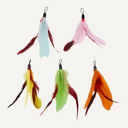 Amazon Basics Cat Feather Toy Kit with 2 Telescoping Wands and 10 Feather Attachments, Natural Feathers, for Adult Cats and Kittens
