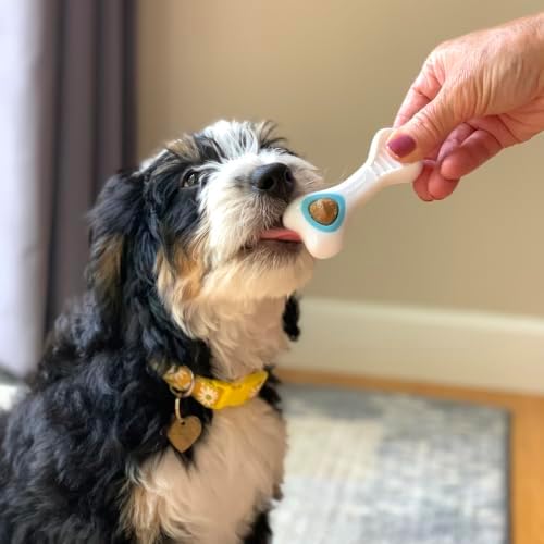 Nylabone Puppy Chew Knuckle Bone & Pop-In Treat Toy for Puppies, X-Small