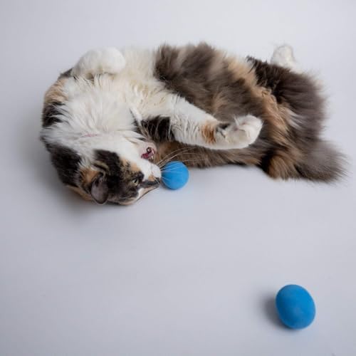 Rawry Foam Ball Cat Toy for Indoor Cats & Kittens,12 Pack, Blue