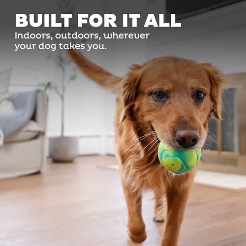 Outward Hound Grunt N' Punt Tennis Ball - Fetch Ball Dog Toy, Multi (Pack of 4)