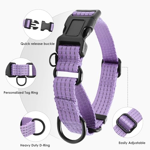 Martingale Dog Collar, Reflective No Pull with Buckle, Lavender, S