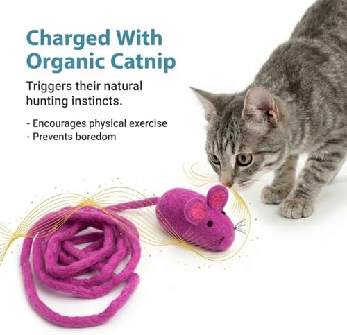 Glaciart One Felt Mouse Cat Toy – Soft Fuzzy Enrichment 100% Natural Wool - Interactive Catnip Play Cat Toy Set - Safe for Pets, Non-AZO Colored Dyes - 100” Long