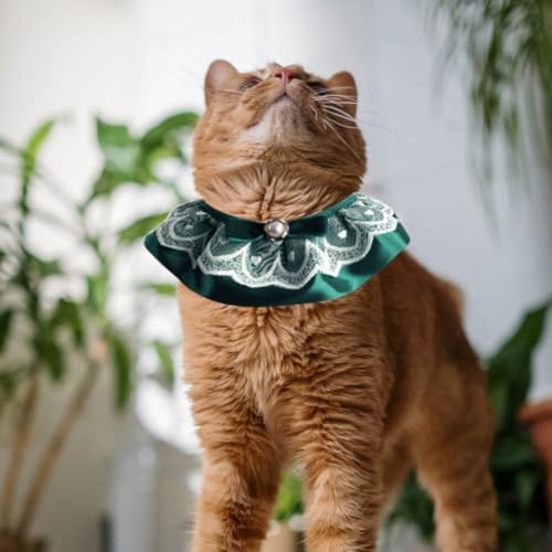 Cat Lace Collar with Pearl Bow Neck Tie Adjustable Polyester