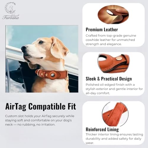 Genuine Leather Dog Collar with Smart Tag Holder Compatible with AirTag, Scratch-Resistant Finish, Microfiber Lining, Adjustable Design for All Breeds (Black, Medium: Width = 1.2"; Neck = 12" - 18")