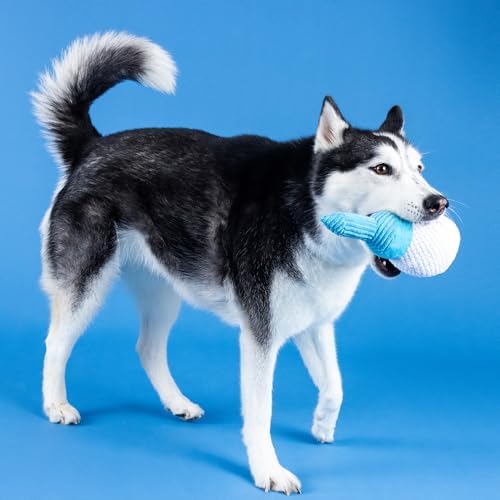 Fringe Studio Plush Dog Toy, Today is TEE-RIFFIC, Pet Shop Collection (314241)