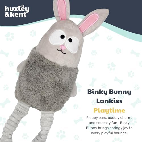 Huxley & Kent Funny Dog Toy w/Squeaker – Power Plush Squeaky Dog Toys for Small, Medium & Large Dogs – Soft Stuffed Animal for Indoor Play & Fetch - Squeak to Crunch - Lankies Binky Bunny, Small