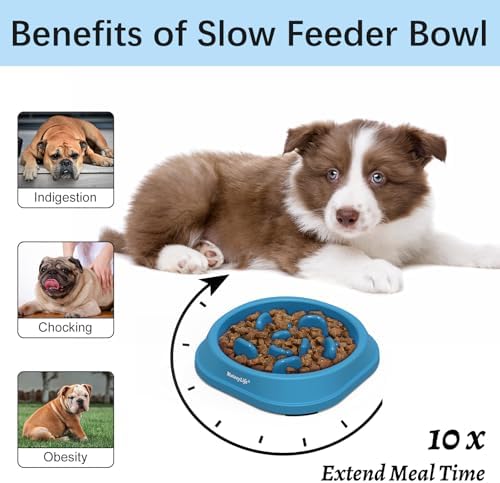 MateeyLife 2-Pack Slow Feeder Dog Bowls, 1 Cup, Dog Puzzle Feeder Bowl