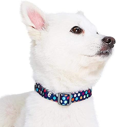 Blueberry Pet Essentials Rainbow Polka Dots Adjustable Dog Collar, Large, Neck 18"-26"