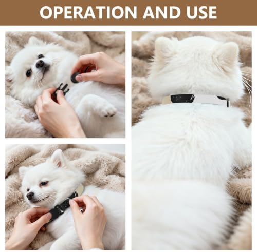 Cute Black Polka Dot Collars for Cats, 2 Pack Cat Collar with Bell