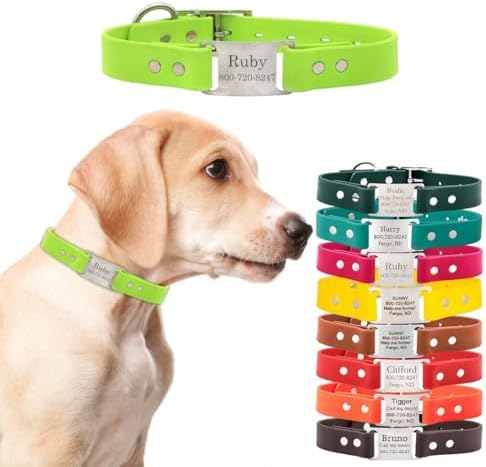 dogIDs Personalized Dog Collar – ScruffTag Custom Waterproof Biothane Dog Collar with Laser-Engraved Name, Durable & Odor-Resistant – USA Made | Margarita, 3/4 in x 16 in (Fits Neck Sizes 14-18 in)
