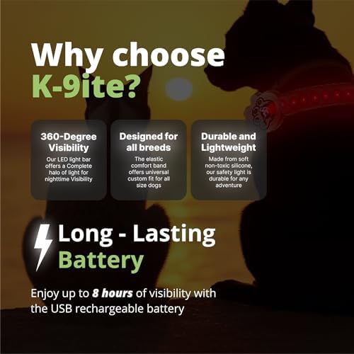 Rechargeable LED Dog Collar, Adjustable Size Light Up Collar with 360° Halo Effect, Ultra-Bright RGB Light, Weather-Resistant Design, Flash Mode, & USB-C Charging for Small, Medium & Large Dogs