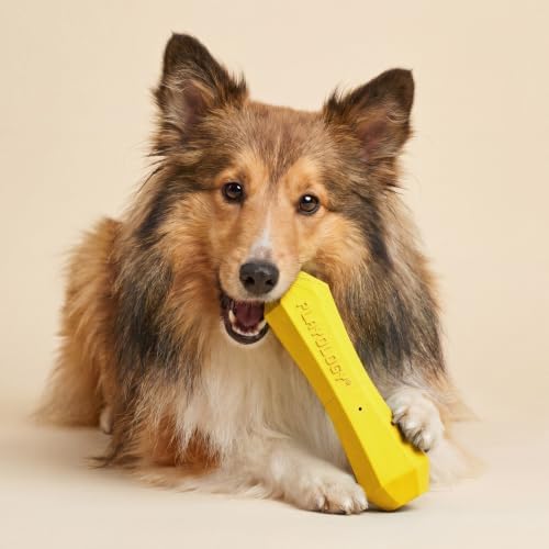 Playology Squeaky Chew Stick - Scented Dog Toy - Medium, Chicken Scent