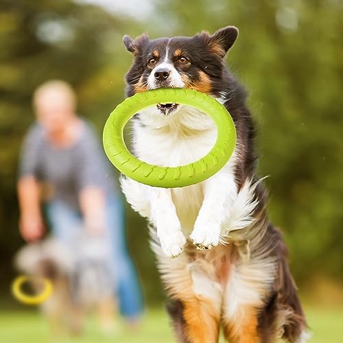4 Pack 11.81 Inch Dog Ring Toy for Large Medium Dog Training, Colorful