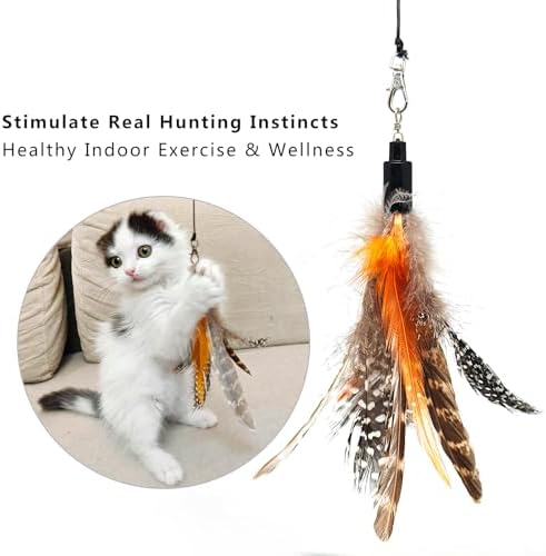 miwoowim 7PCS Cat Wand Refills, 6 Natural Feathers & Replacement String