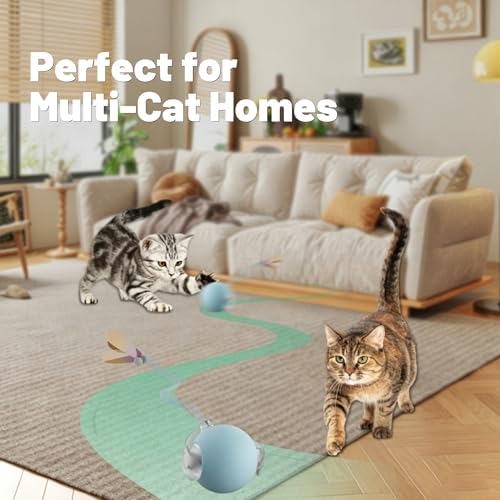 4-Pack Interactive Cat Toys for Indoor Cats, 2 Projection Chase Toys and 2 Automatic Moving Tail Balls, Fun Exercise and Play Set for Cats and Kittens