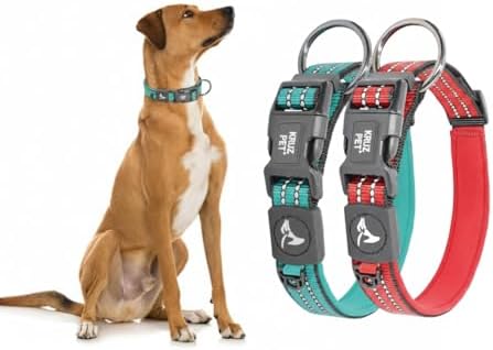 Dog Collar Bundle | Includes Red, X-Small (Width- 5/8", Neck - 8"-12") & Turquoise, X-Large (Width- 1", Length - 25"-27.5") | Adjustable Padded with Heavy Duty O-Ring | Soft & Comfortable Fit
