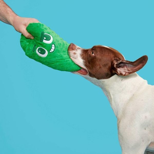 Big Dill Bill Pickle Dog Toy Plush Squeaky Crinkle Stuffed Dog Toy for Small Medium and Large Dogs Packed with Fluff Dual Squeakers Soft Green Chew Toy for Indoor Play and Cuddling