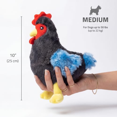 Playology Plush Hen Chew Toy for Large Dogs - Medium, Chicken Scent