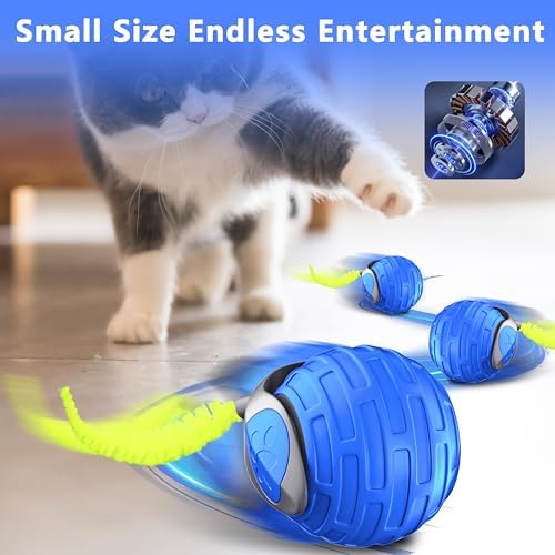Cat Toys,Interactive Cat Toys Ball for Bored Indoor Cat,Blue