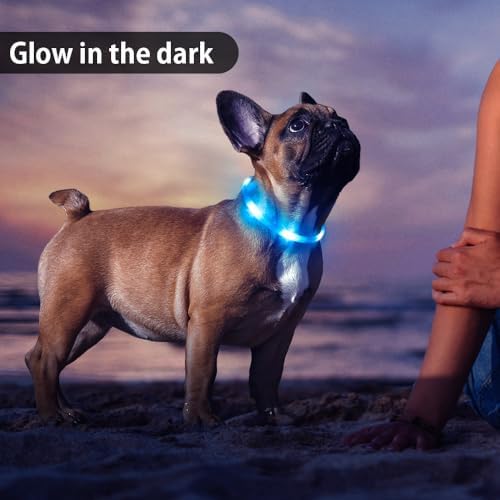 Led Dog Collar, BSEEN Light Up Dog Collars USB Rechargeable Flash Dog Necklace, Silicone Cuttable Lighted Puppy Collar, Glowing Dog Walking Lights for Small Dogs& Cats (Blue-XS(40cm))