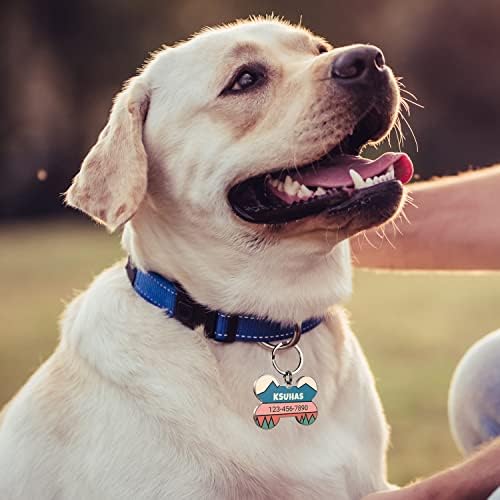 QR Code Dog Tag -On Pet ID Name Tag for Dogs, Cats & Horses – Custom Personalized Noiseless Tag with Jingle-Free Fit & Online Profile Display