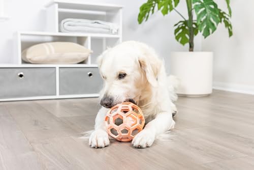 Chuckit! Holee Roller Dog Treat Puzzle Ball, Large (3"), Orange – Interactive Treat & Chew Puzzle Toy for Dogs 60–100 lb – Durable Rubber Fetch Ball for Mental Stimulation – Pack of 1
