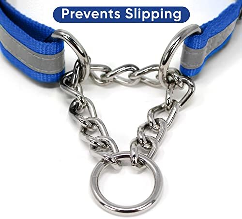 Pawtitas Blue Chain Martingale Dog Collar, Large