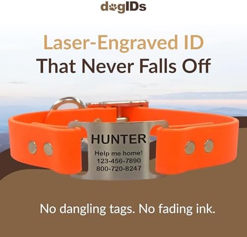 dogIDs Personalized Dog Collar – ScruffTag Custom Waterproof Biothane Dog Collar with Laser-Engraved Name, Durable & Odor-Resistant – USA Made | Blaze Orange, 1 in x 22 in (Fits Neck Sizes 20-24 in)