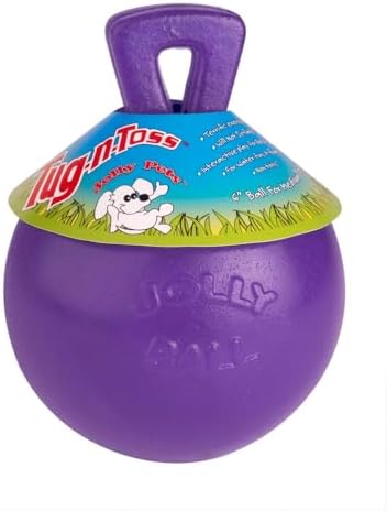 Jolly Pets Tug-n-Toss Heavy Duty Dog Toy Ball with Handle, 4.5 Inches/Small, Purple