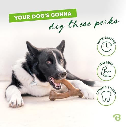 Benebone 7-Pack Dog Chew Toys for Aggressive Chewers, Dog Bones, Medium