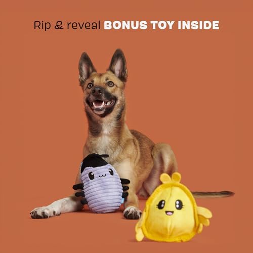 BarkBox Hasina the Hissing Cockroach Dog Toy - for Medium to Large Dogs