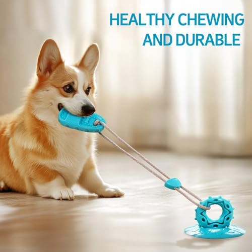 2026 New Dog Suction Cup Toy-Tug of War Style with Rope