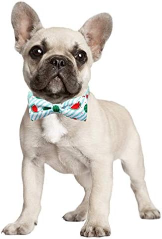azuza Bowtie Dog Collar, Stylish and Comfy Watermelon Dog Collar with Bow Tie for Small Dogs